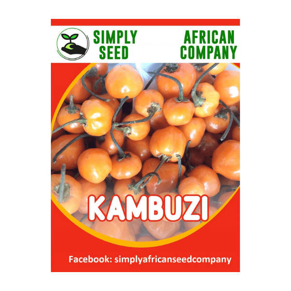 Malawian Kambuzi Chilli Seeds