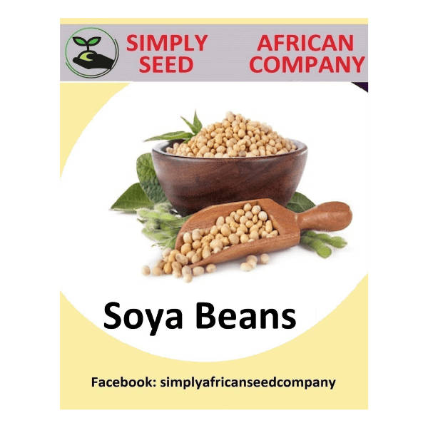 Soya Beans