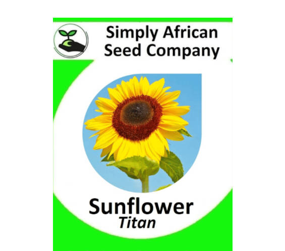 Sunflower Titan 30's