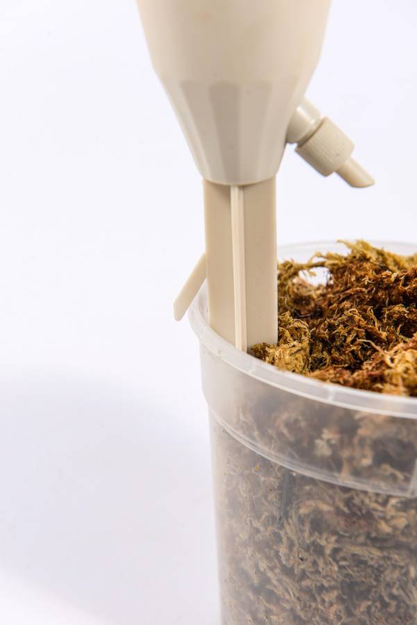 Self watering Dripper