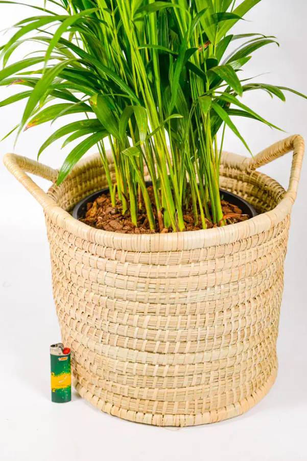 Plant Baskets with Handles