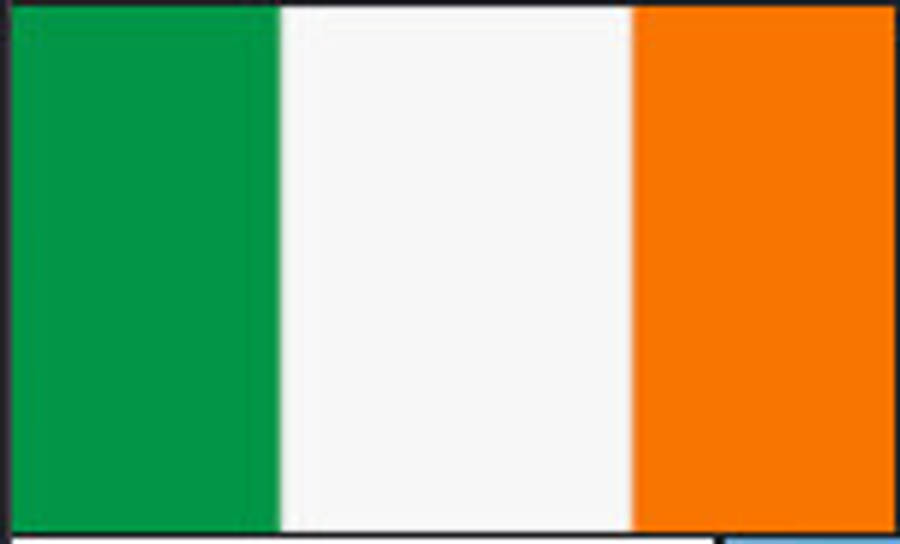 Ireland Flag 40x60 mm with Velcro