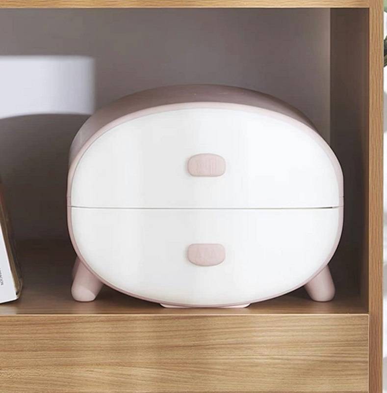 Ectia Plastic 2 Drawer Storage Box For Small Items