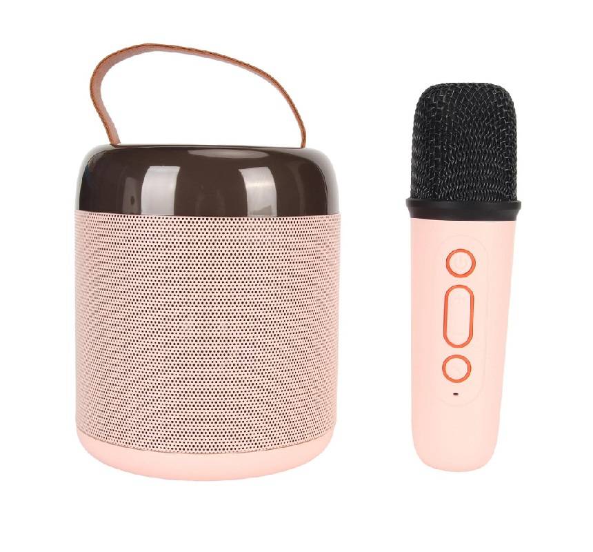 Portable Bluetooth Speaker with Karaoke Microphone 1500mah Battery