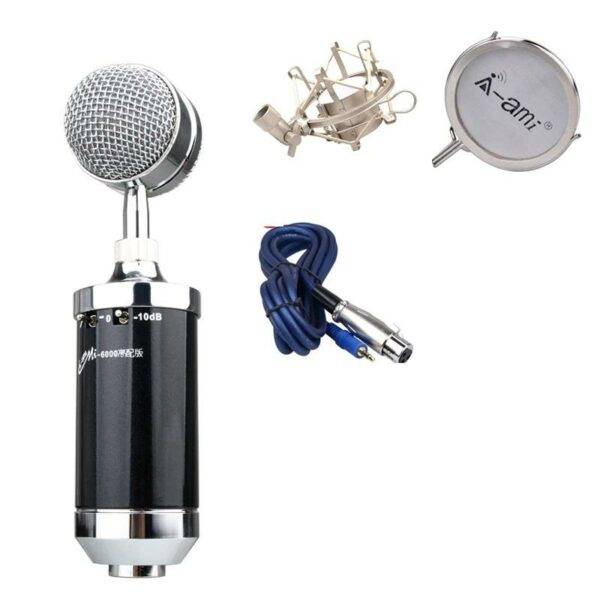 MI-6000 Condenser Microphone Radio Broadcasting Computer Studio Microphone