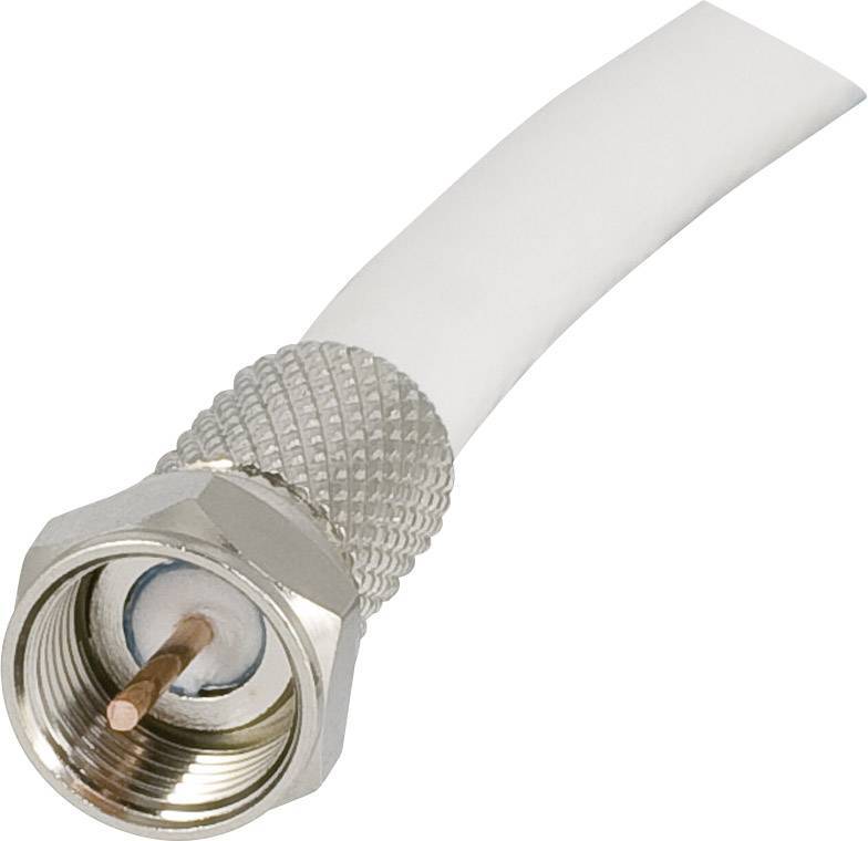 Self Tightening F-Head TV Screw Connector Pack OF 100