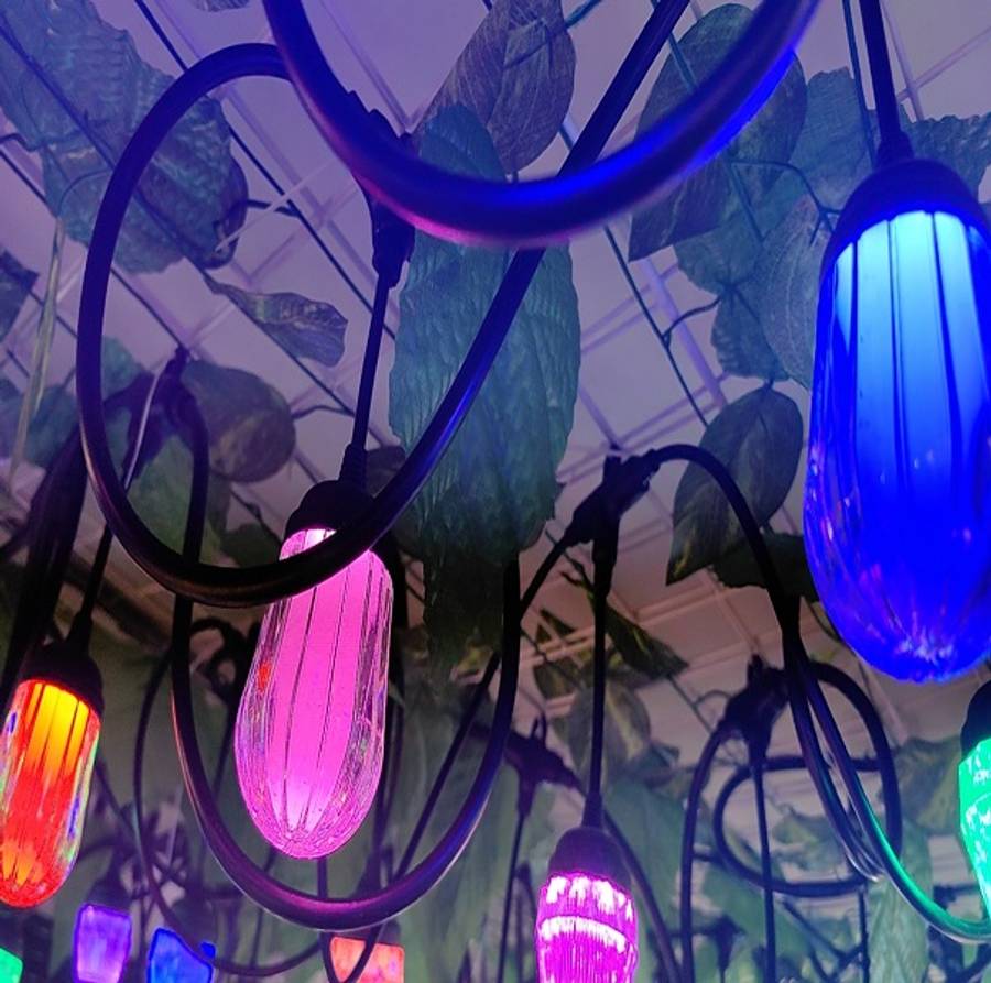 ZYF-153 Loofah 5M String With Hooks RGB Lights 10 Bulbs