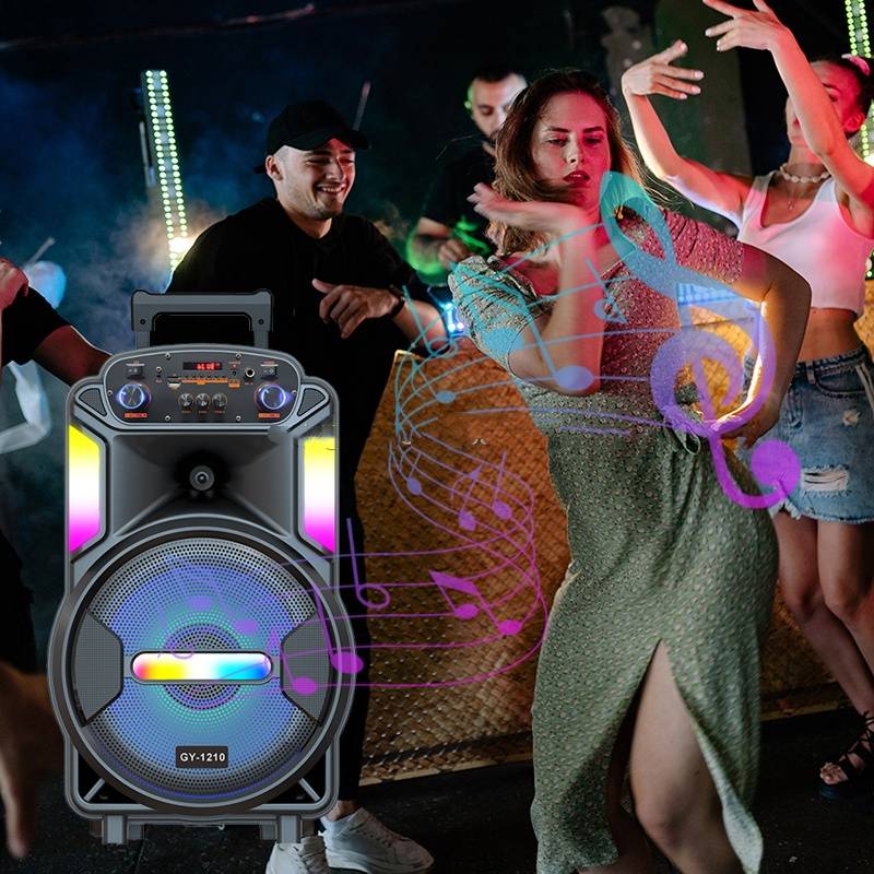 GY-1210 12" Portable Stereo Karaoke Speaker with Single Microphone 60W
