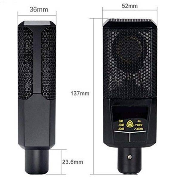 PM-218 Professional Microphone Condenser With Base Stand