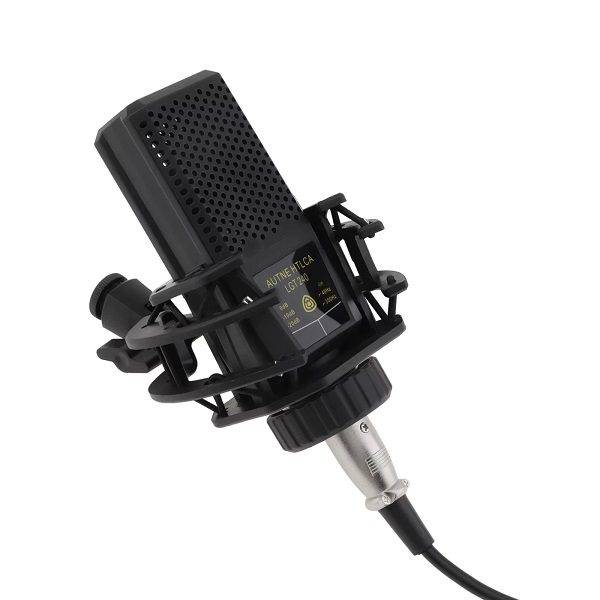 PM-218 Professional Microphone Condenser With Base Stand