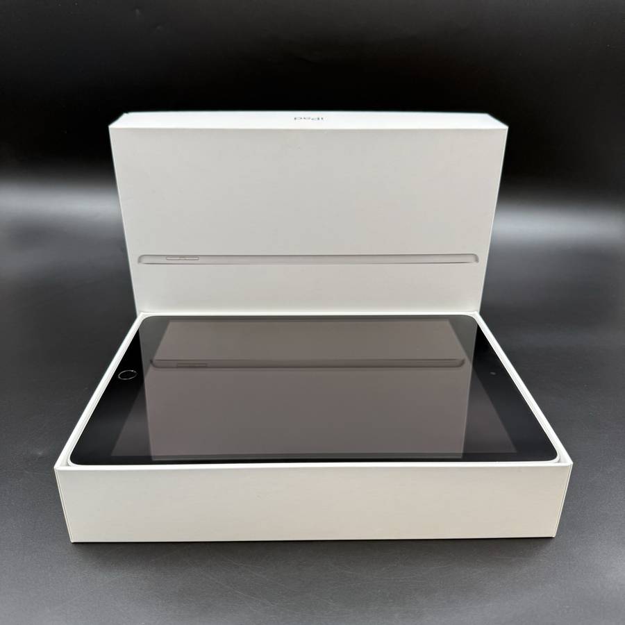 iPad (9th Gen) 256GB Wi-Fi + Cellular  Silver