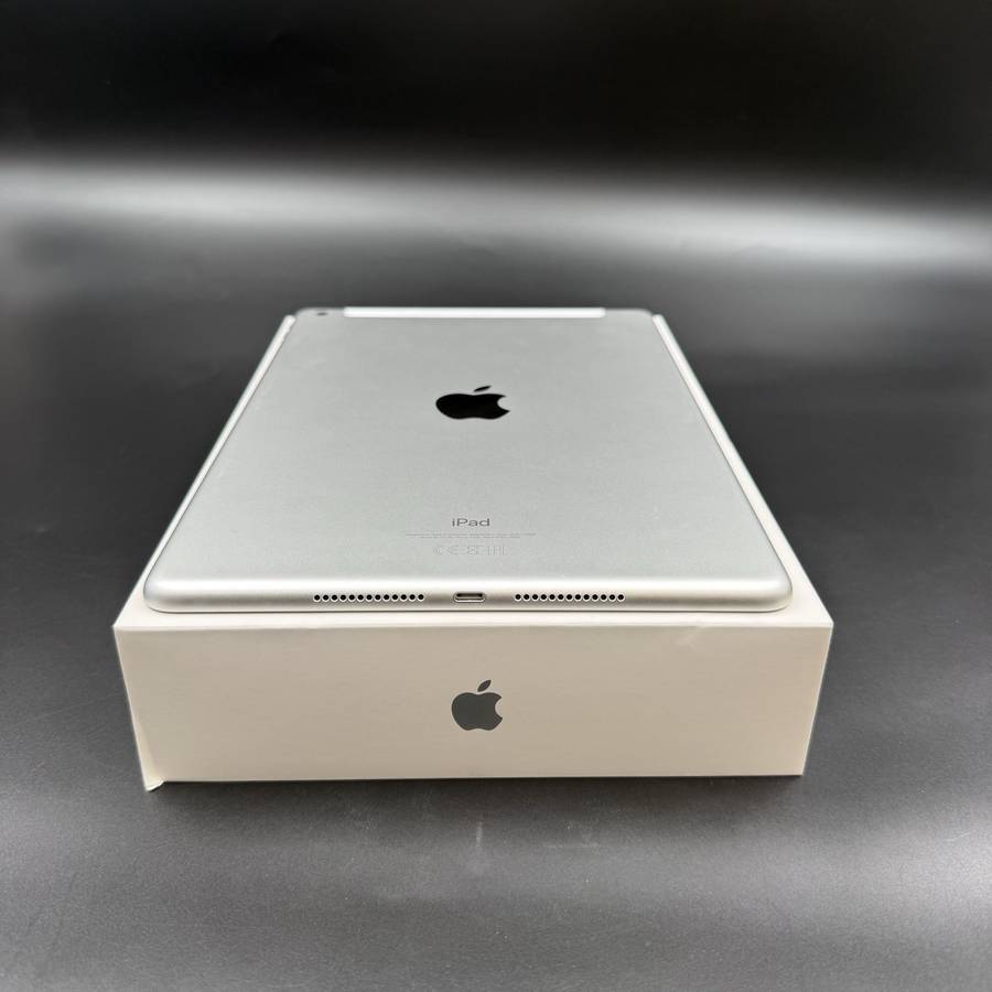 iPad (9th Gen) 256GB Wi-Fi + Cellular  Silver