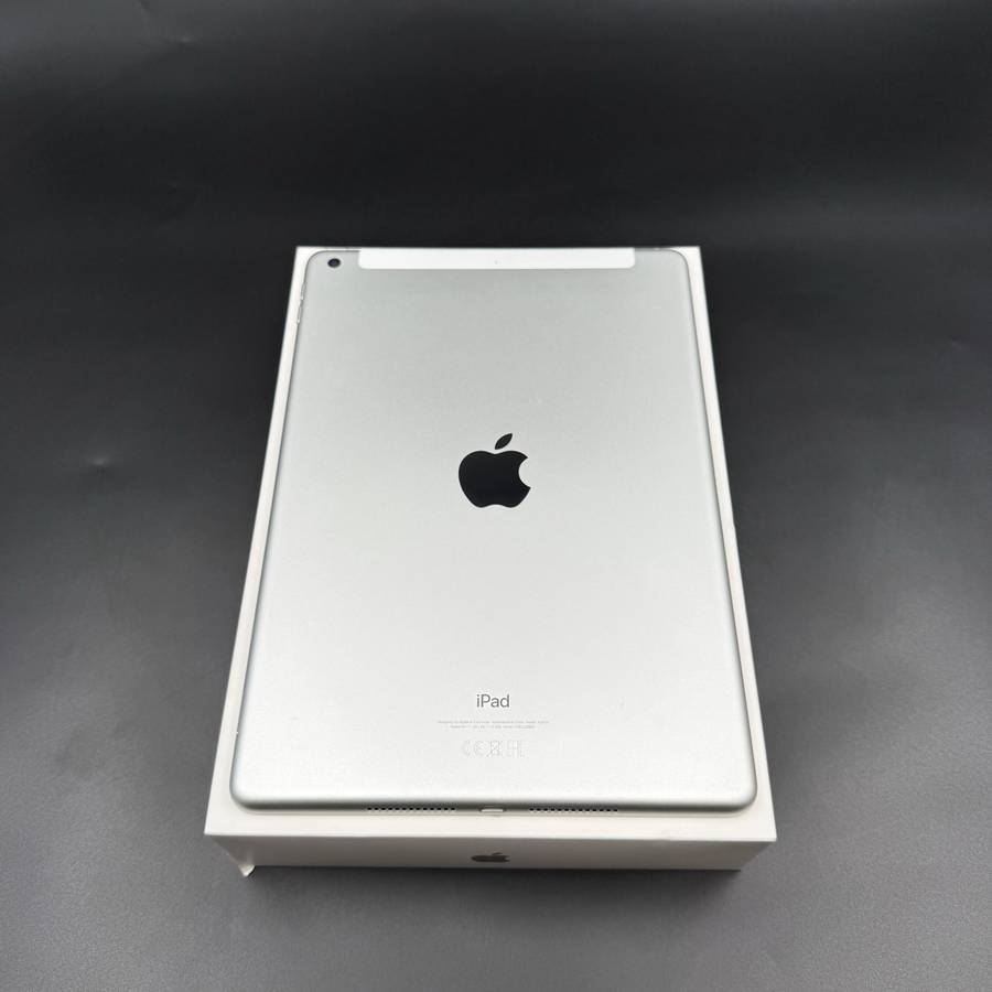 iPad (9th Gen) 256GB Wi-Fi + Cellular  Silver