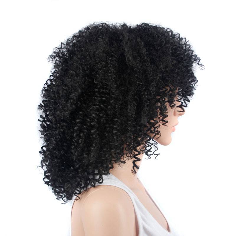 Curly Synthetic Lace Front Wigs Afro Kinky Curly Brazilian Wig