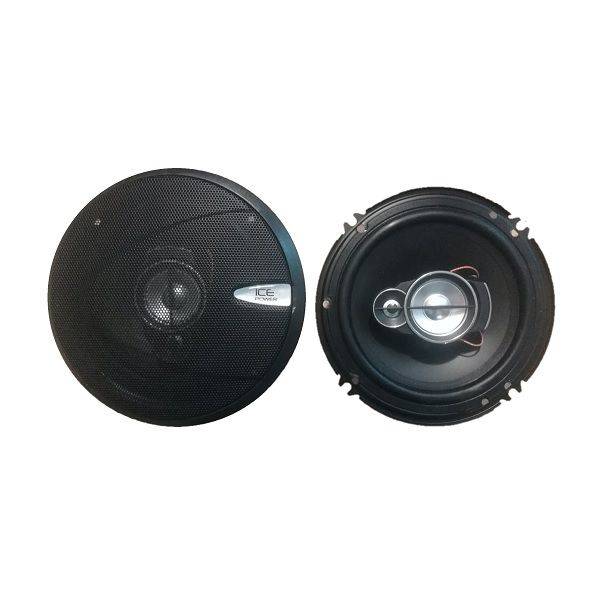 IcePower 6" MidRange Speakers