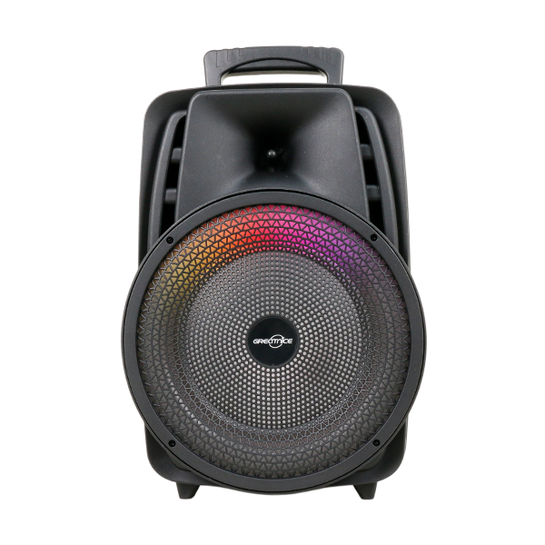 GTS-2047 Bluetooth 8" Speaker W/Mic
