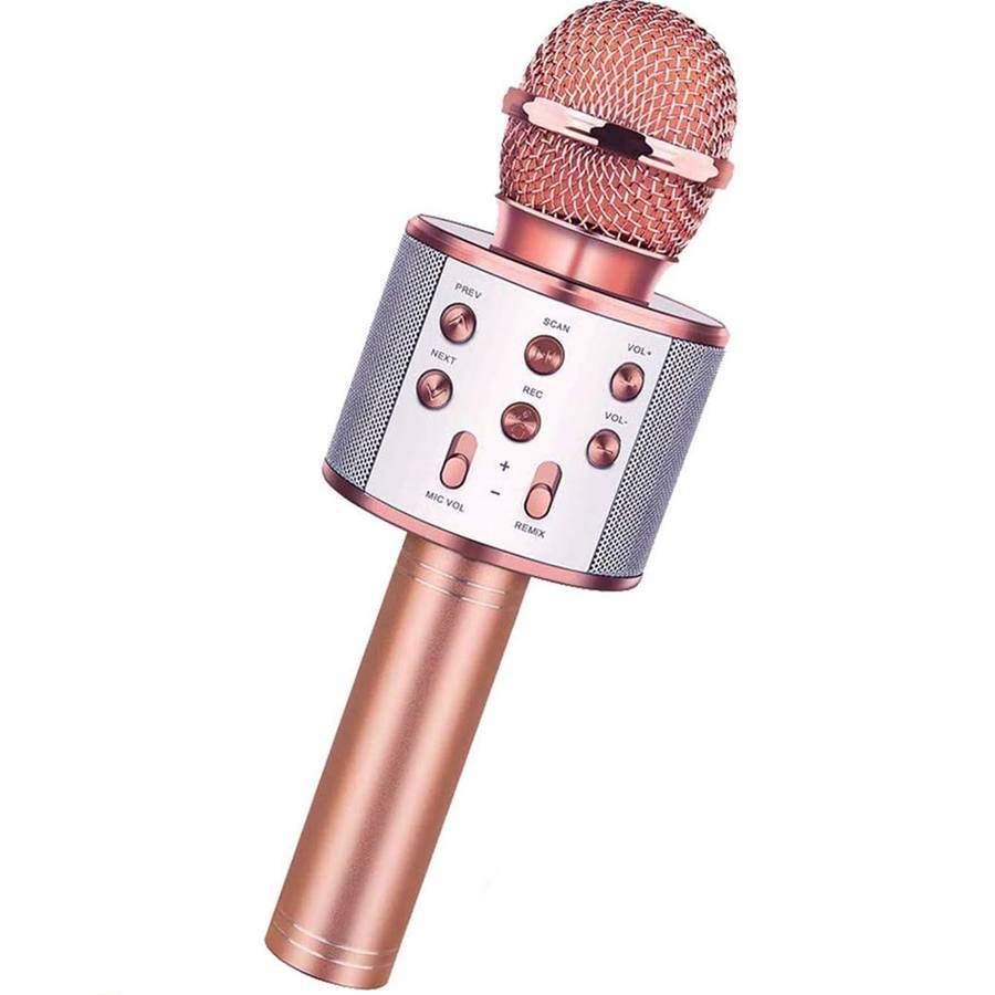 WS-858 - Wireless Karaoke Microphone & Bluetooth Speaker