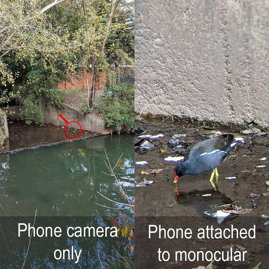 KF33.008 | K&F Monocular with 12x42 Magnification and Phone Attachment