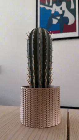 Cactus Toothpick Holder