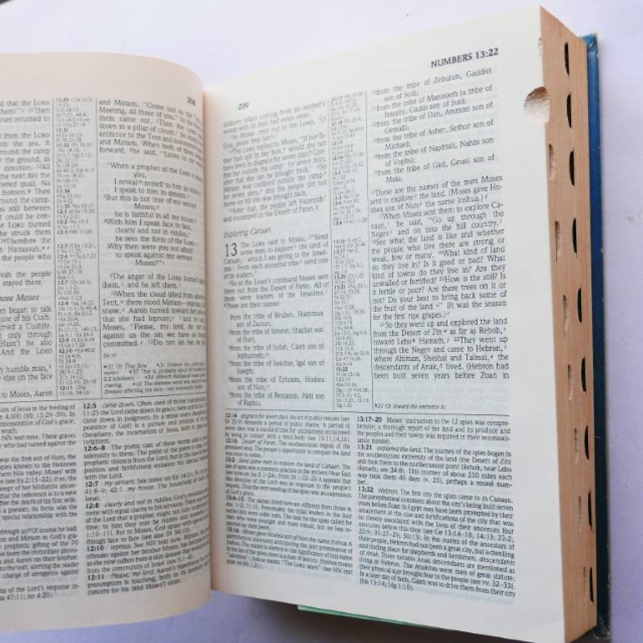 The New NIV Study Bible