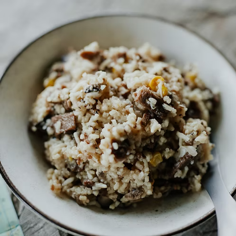 Back Country Cuisine Regular Beef Stroganoff (GF)