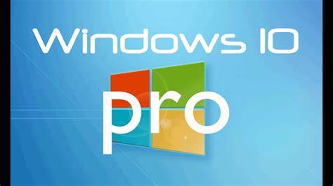 Image result for windows 10 pro logo