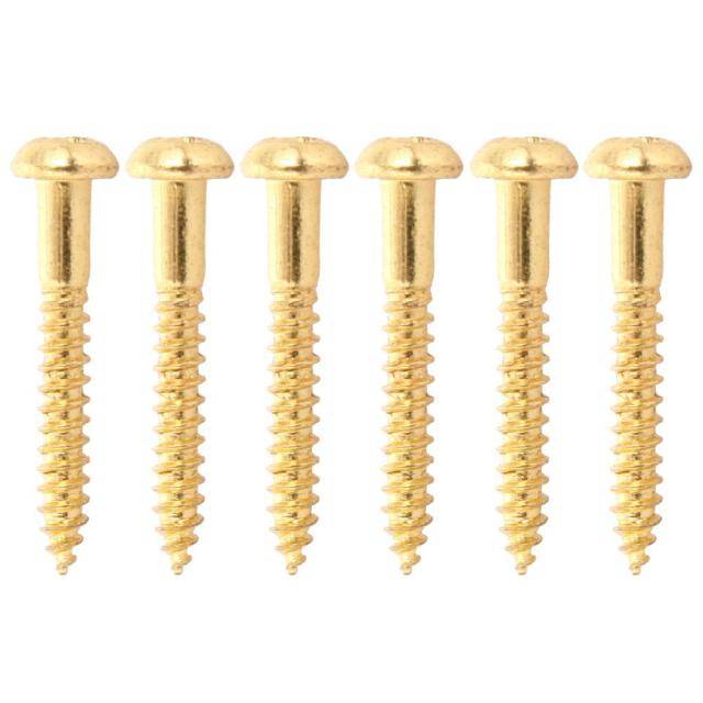 Guitar Bridge Screws for 6 point bridge - Set of 6