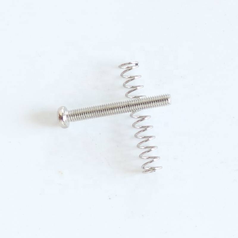 2.5mm USA Humbucker Pickup Screw & Spring - Set of 2