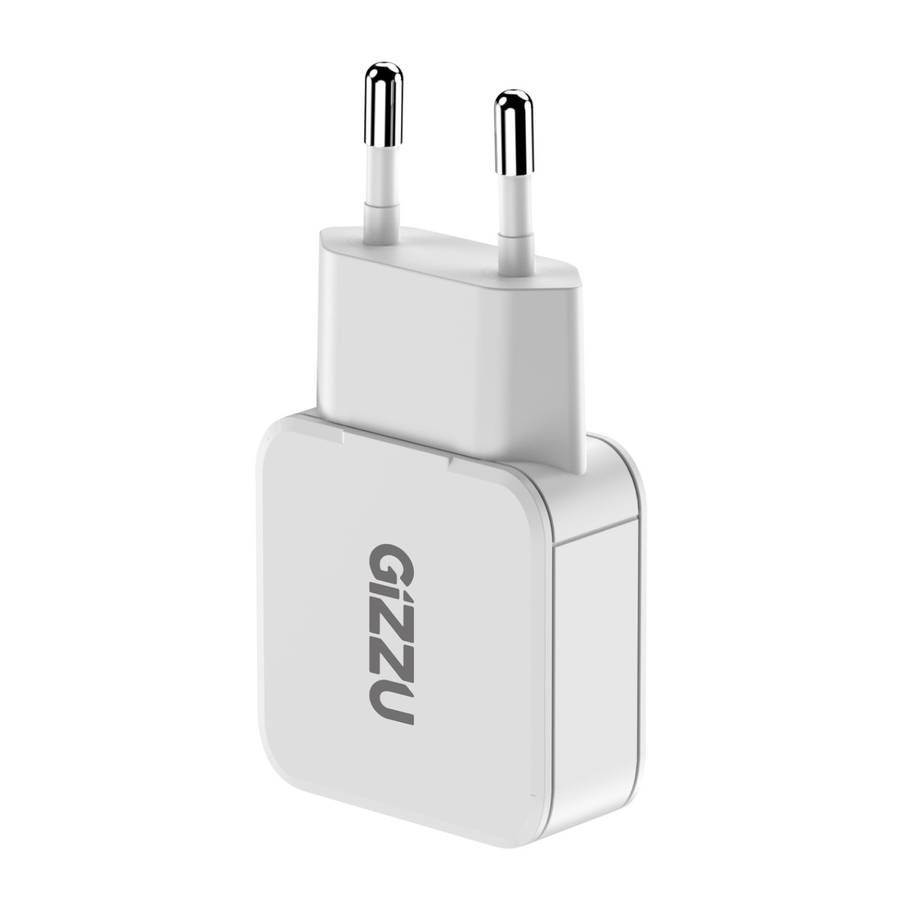 Gizzu 2-Port 20W GaN Wall Charger