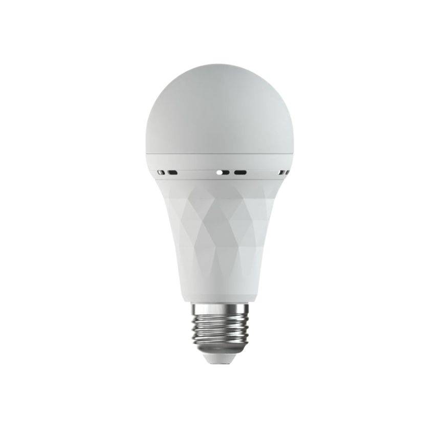 Gizzu - Everglow Screw-in Rechargeable Emergency LED Bulb - Pack of 10