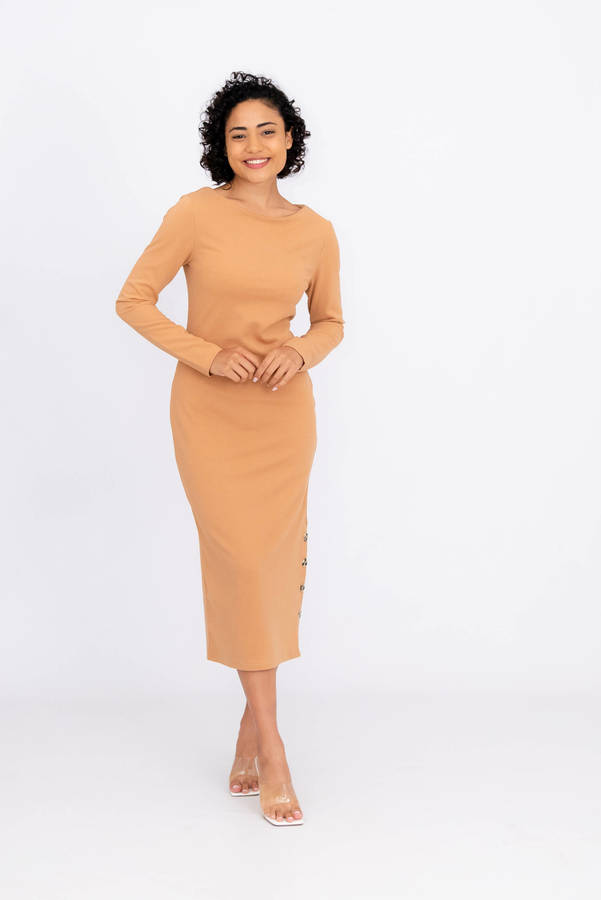Danna Classic Mid Lenght Long Sleeve Dress Tan
