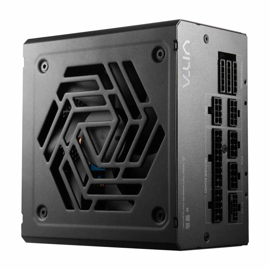 FSP VITA GM 1000W Gold Power SUpply - ATX 3.1, PCIe 5.1, 80 Plus Gold