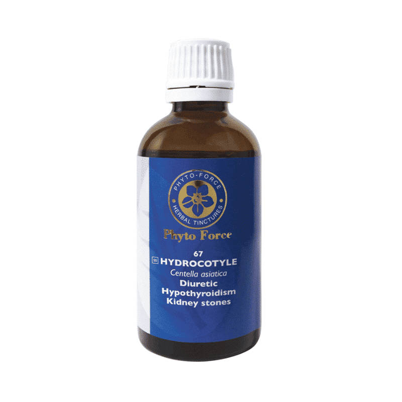 Phyto-Force Hydrocotyle Tincture 50ml