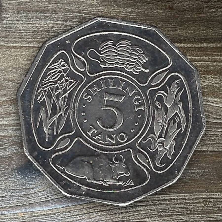 Tanzania *** 1993 5 Shilling *** Collect various countries currencies