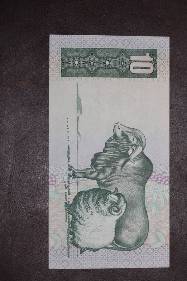 GPC de Kock 1981 First Issue *** R10 *** Top quality scarcer issue