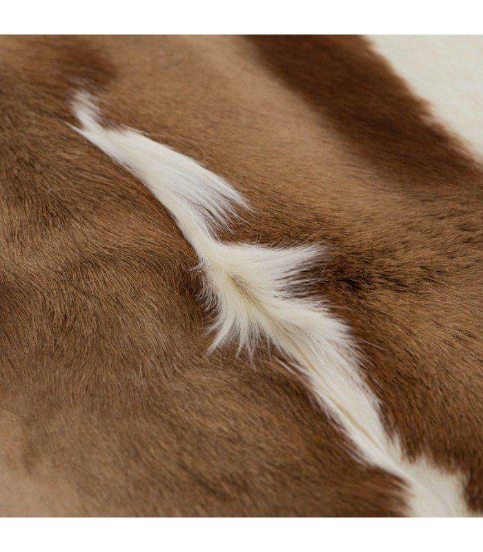 Springbok Skin
