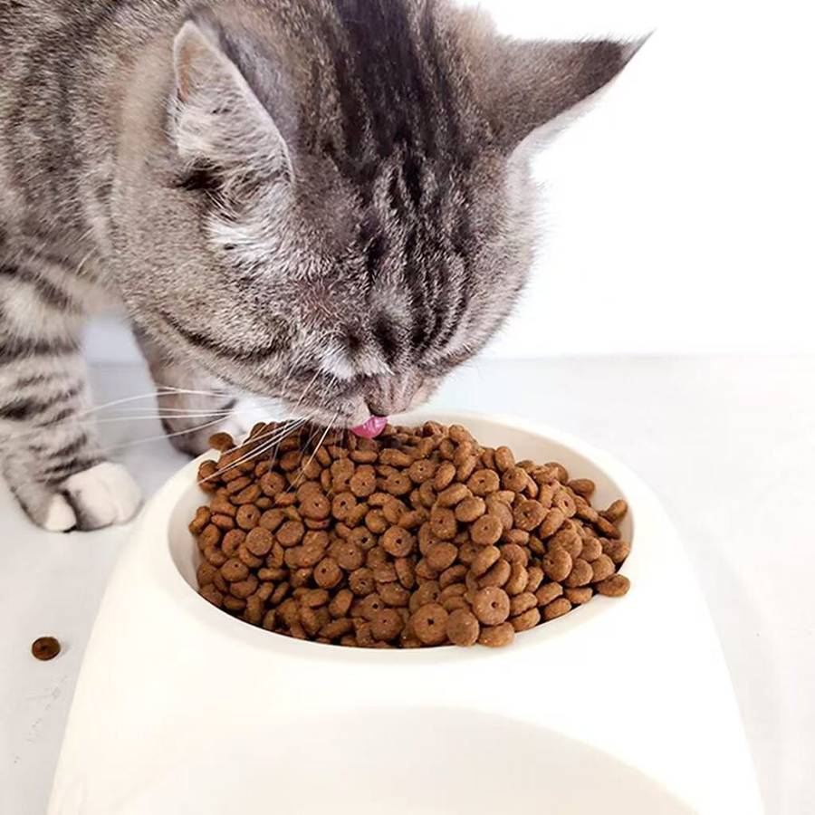 Max Pet Tuna cat food (10KG)
