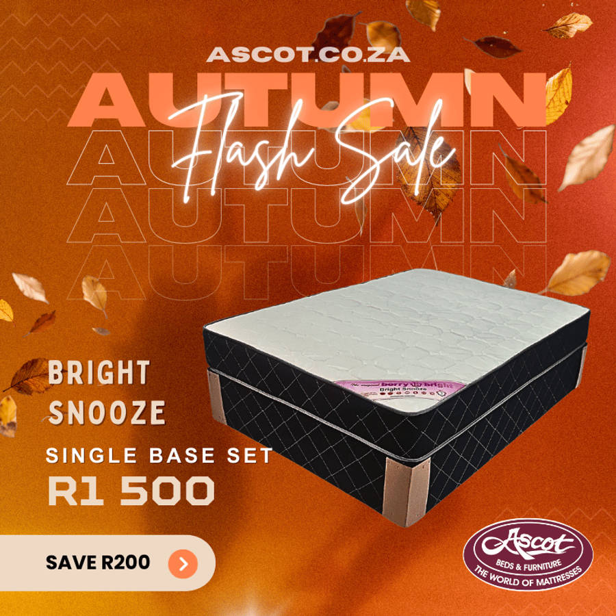 Snooze Single Base Set