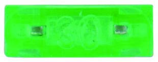 Plug In Fuse - Mini - 30 Amp - 100 Pieces