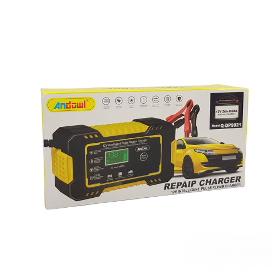 EA019 - Auto Battery Pulse Repair Charger Intelligent. 12 Volts 6Amps