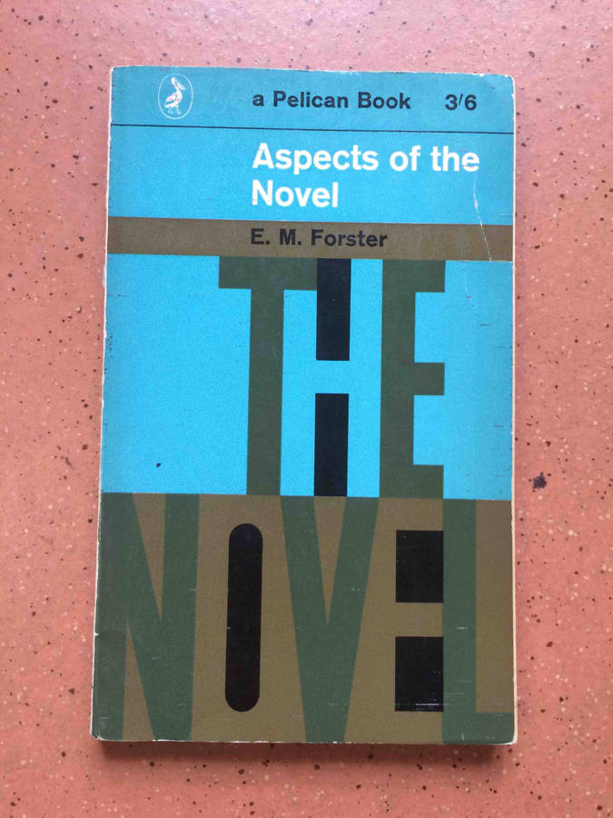 Aspects of the Novel