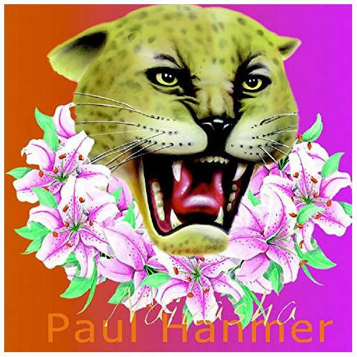 Paul Hanmer - Naivasha