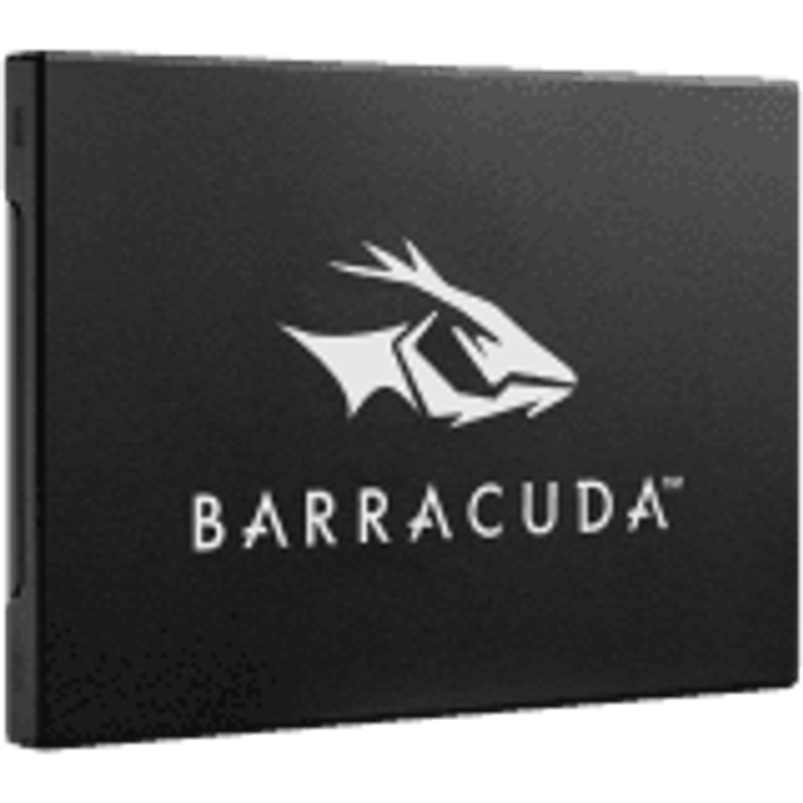 SEAGATE  SSD Client ZA960CV1A002