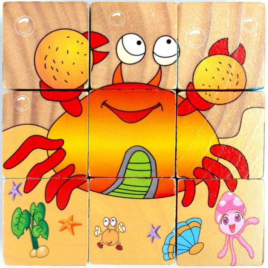 9 wooden block picture puzzle.