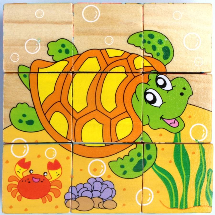 9 wooden block picture puzzle.