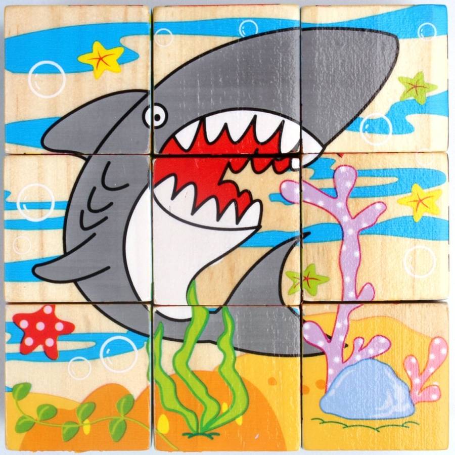 9 wooden block picture puzzle.