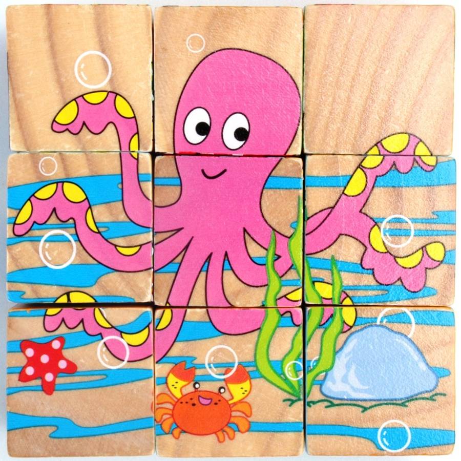 9 wooden block picture puzzle.