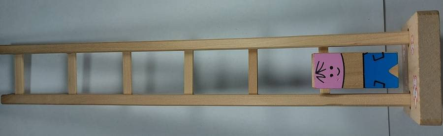 Motion ladder toy