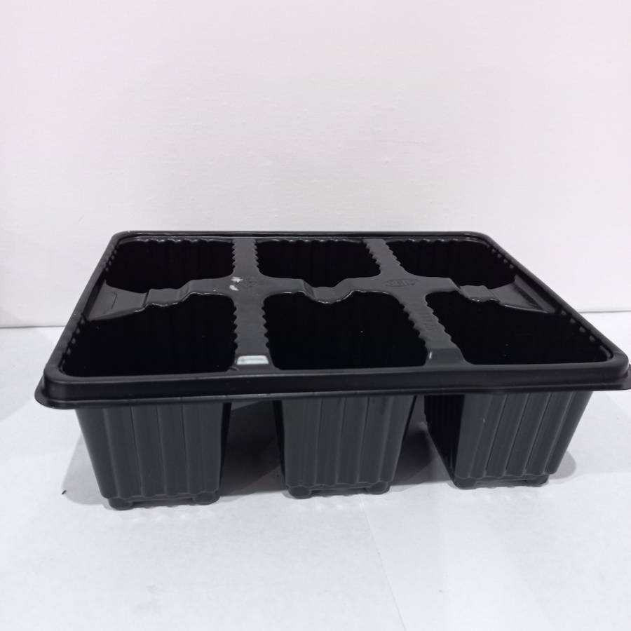 Spring Seedling Planting Pack