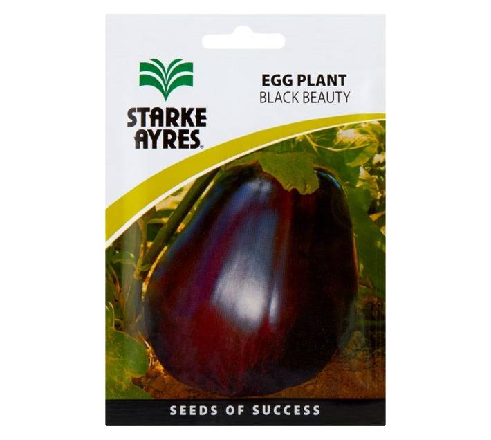 Egg Plant Seeds Polypack